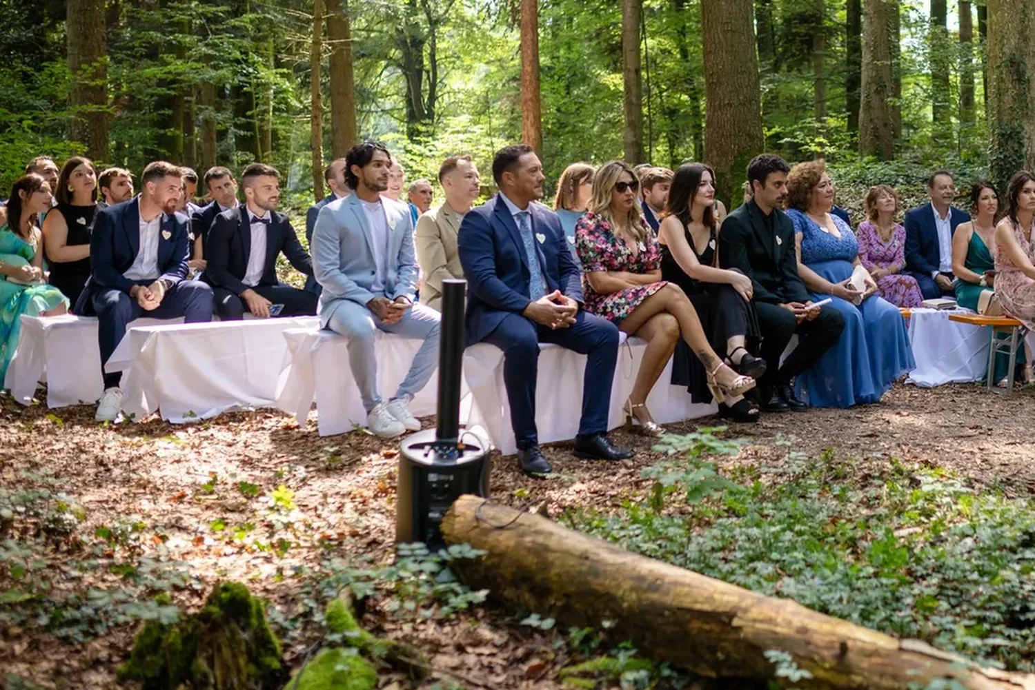 Die Gesellschaft in der Waldlichtung