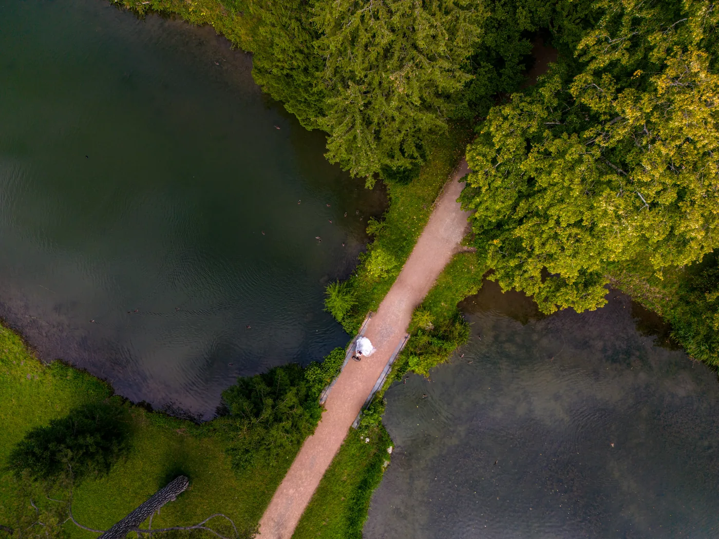 Drohnenaufnahme des Bally-Parks: ein Weg führt am Weiher entlang durch dichtes Grün