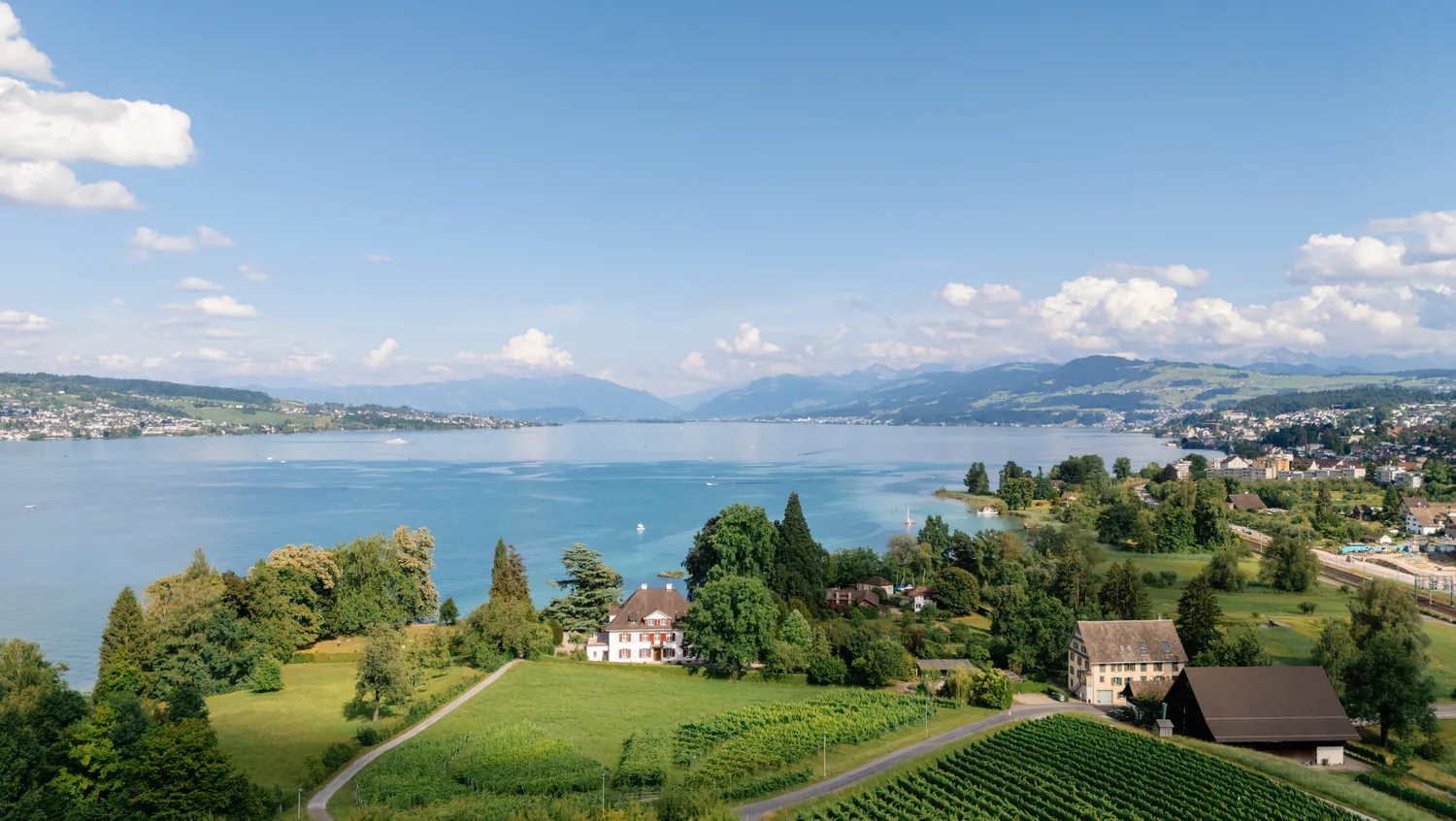Blick über die Halbinsel Au: Landgasthof, Wiesen und Reben fallen zum Zürichsee ab, dahinter die Alpen