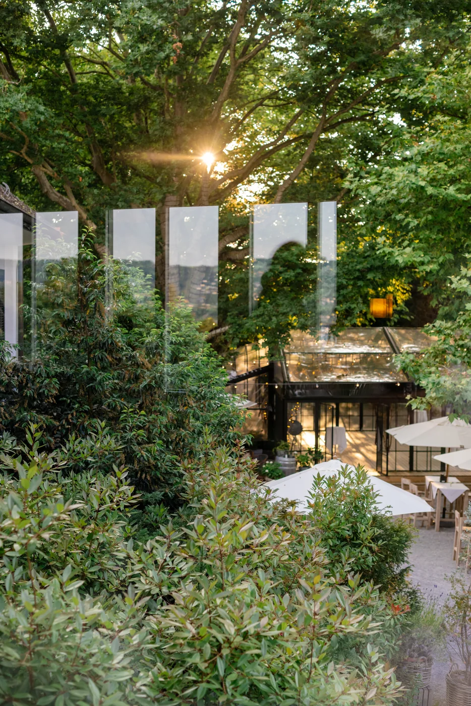 Blick vom AU Saal hinunter auf das Glasdach der Pfauenpergola, davor Sonnenschirme, ringsum Baumkronen
