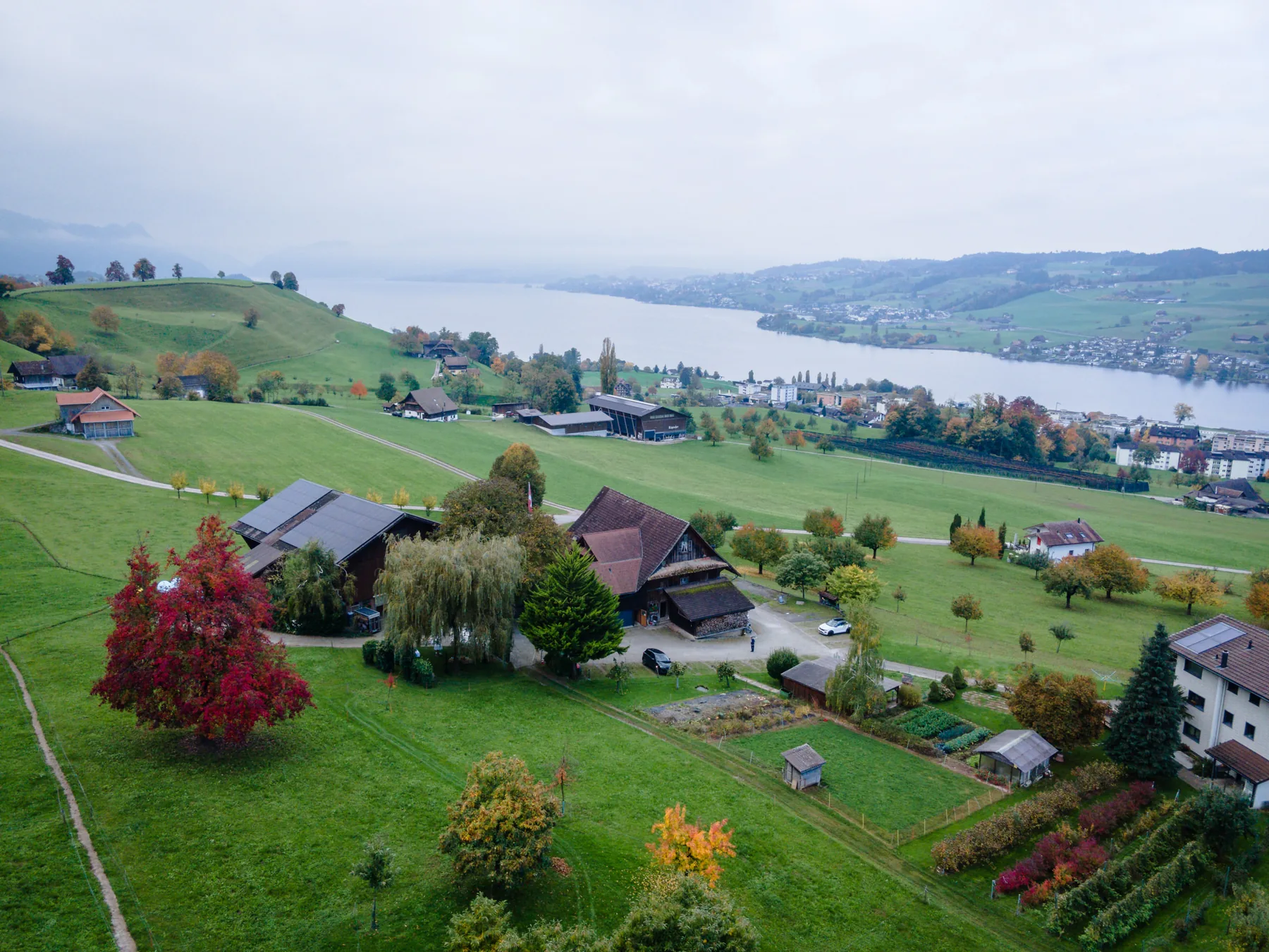 Luftaufnahme des Hof Landschi im Herbst, dahinter das Tal von Küssnacht und der Vierwaldstättersee