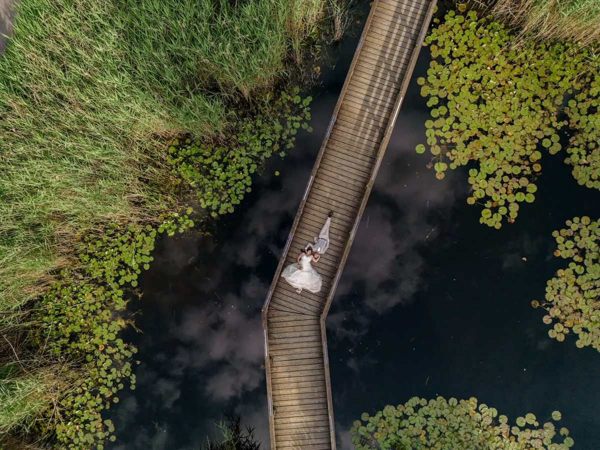 Luftaufnahme des gewundenen Holzstegs über dem dunklen Wasser mit Seerosen