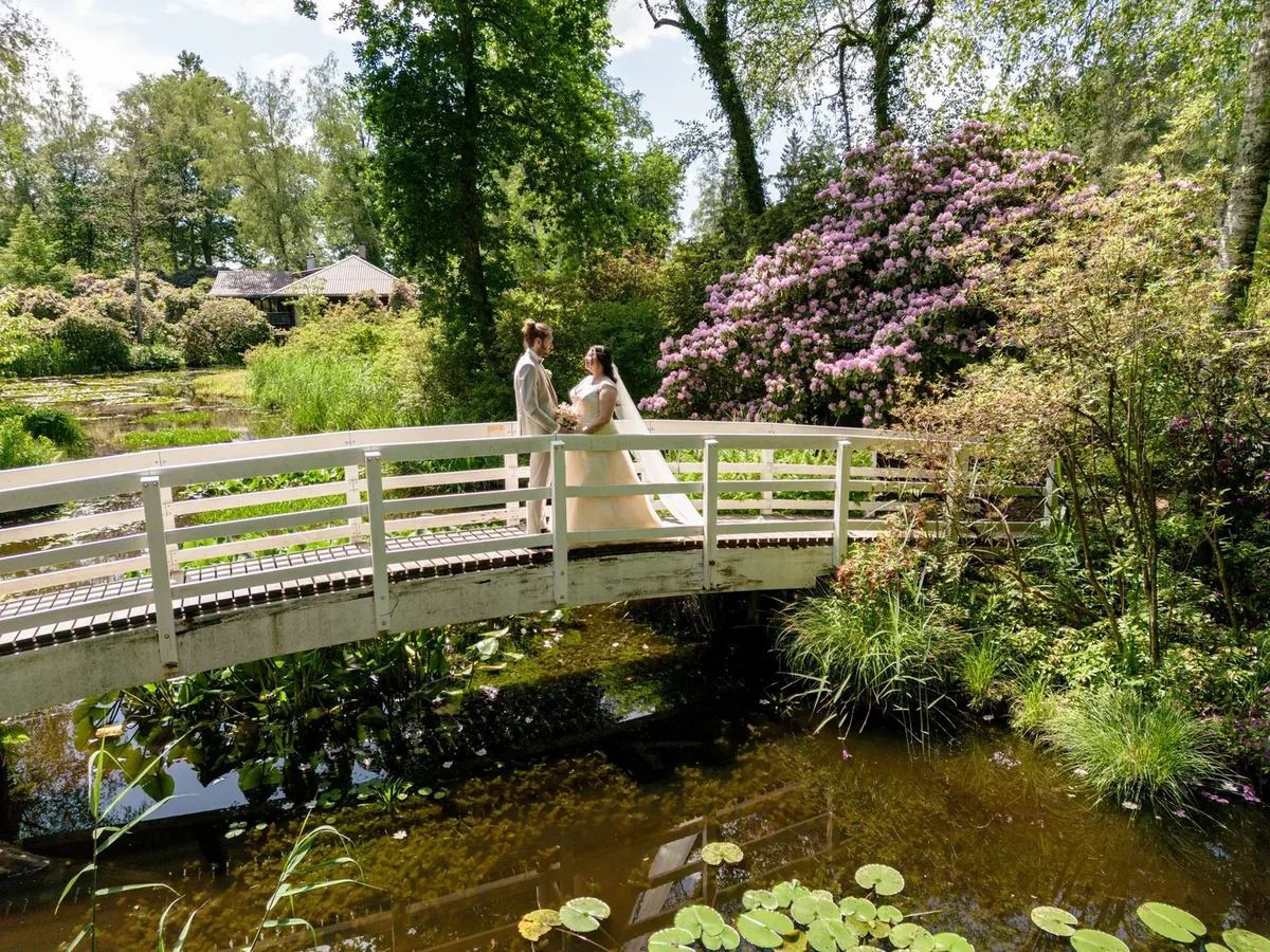 Weisse Bogenbrücke über einem Teich mit Seerosen, dahinter Rhododendren und das Teehaus