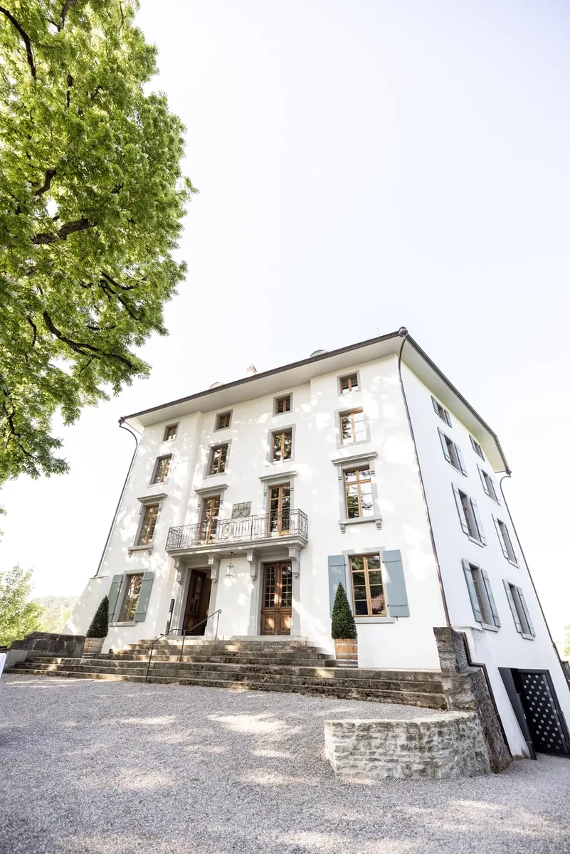 Das Schloss Rued von unten fotografiert, die helle Fassade mit den grünen Läden, links eine alte Kastanie