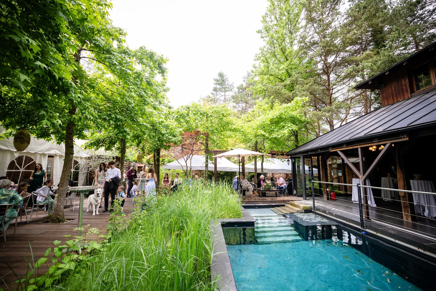 Schwimmbecken mit Holzpavillon und Gästen im Traumgarten Thalwil