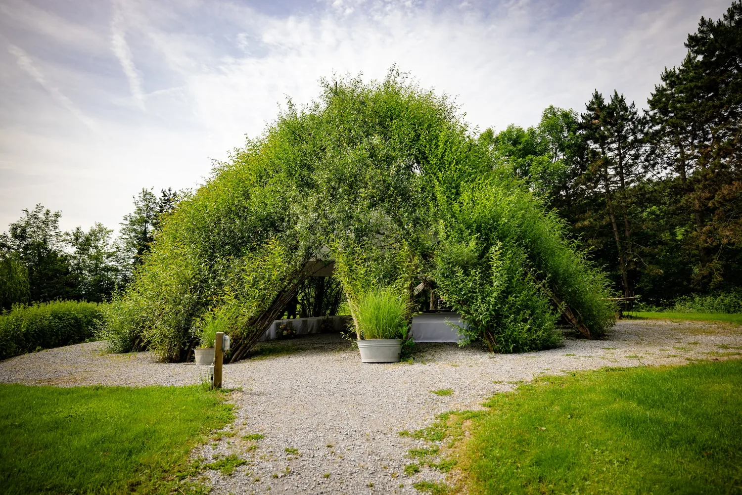 Der Weidentempel im Traumgarten Thalwil von aussen, eine begrünte Kuppel aus lebenden Weiden